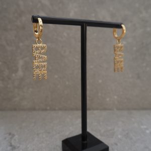 Guldärgade BABE örhängen i mässing med cubic zirconia